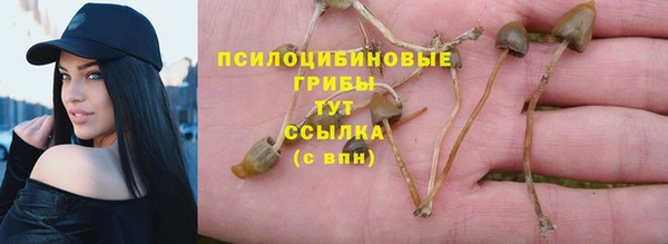 а пвп мука Балабаново