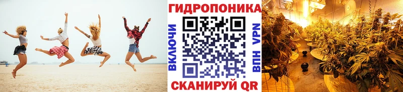 где продают   Ревда  Конопля Amnesia 